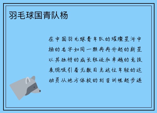 羽毛球国青队杨