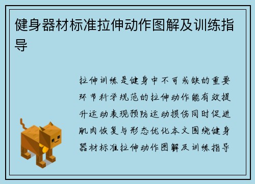健身器材标准拉伸动作图解及训练指导